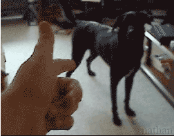 48979826525318872629.gif