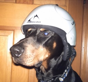 Snowboard_Helmet_Major_23660717_large.jpg