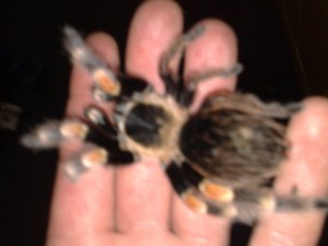 06062009498.jpg