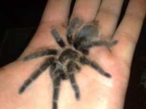 12062009513.jpg