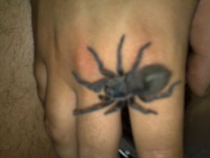 12062009516.jpg