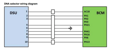 DNA_wiring.png