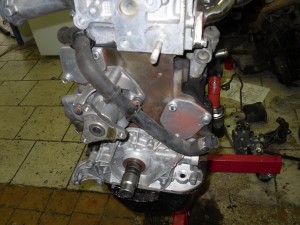 SDC11044.jpg