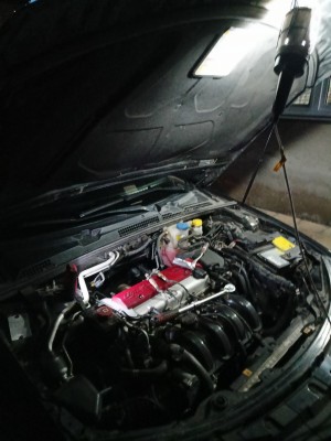 l3.jpg