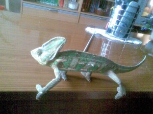 cham2.jpg